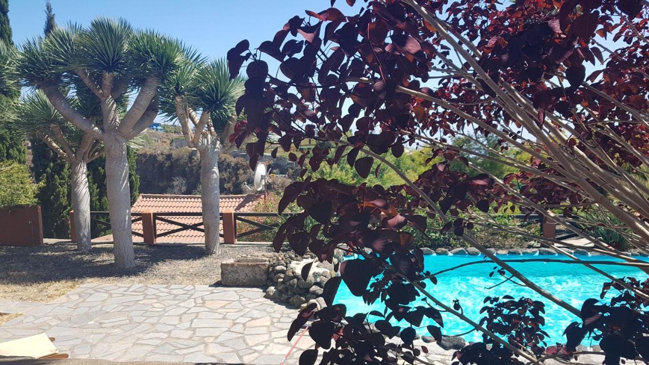 Hostal El Pedral Los Llanos De Aridane Exterior foto